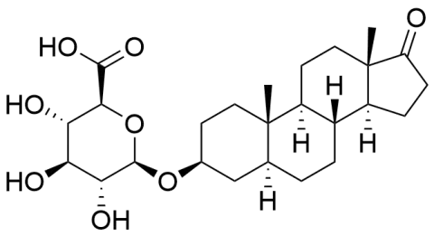 Epi androsterone-beta-glucuronide
