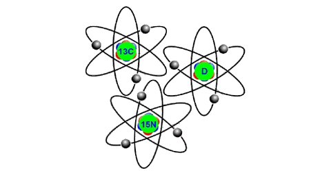 STABLE LABELLED MOLECULE