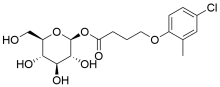 MCPB  GLYCOSIDE