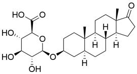 Epi androsterone-beta-glucuronide
